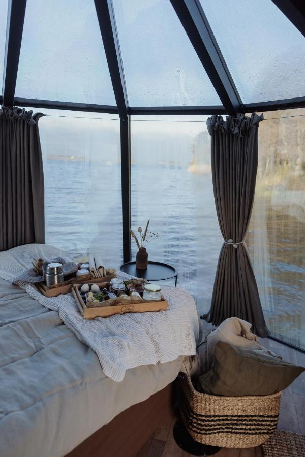 Yggdrasil Igloo Skane Hoor Ngoại thất bức ảnh